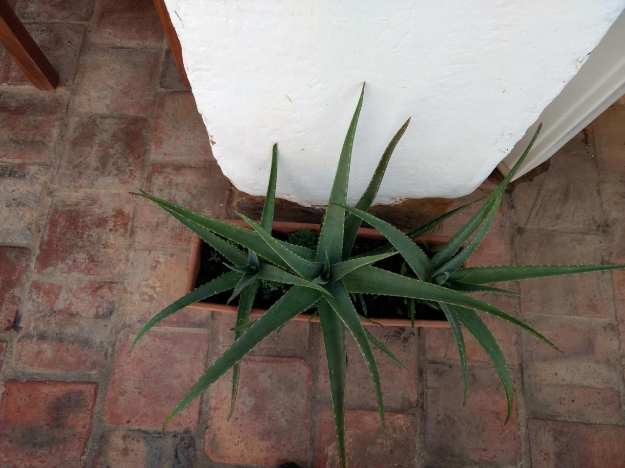 Hostal La Casona Barichara Santander Cabrera  Exterior photo